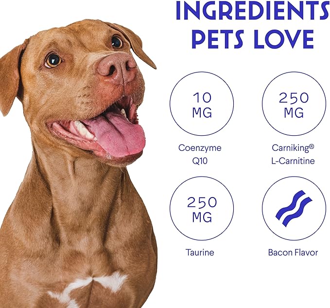 Wonder Paws Cardio Support for Dogs – Cardiovascular Chews Heart Health, Circulation, Energy & Weight Management - with L-Carnitine, Hawthorn Berry, Coenzyme Q10 & Taurine for Dogs – 90 Soft Chews