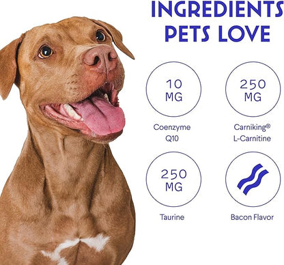 Wonder Paws Cardio Support for Dogs – Cardiovascular Chews Heart Health, Circulation, Energy & Weight Management - with L-Carnitine, Hawthorn Berry, Coenzyme Q10 & Taurine for Dogs – 90 Soft Chews