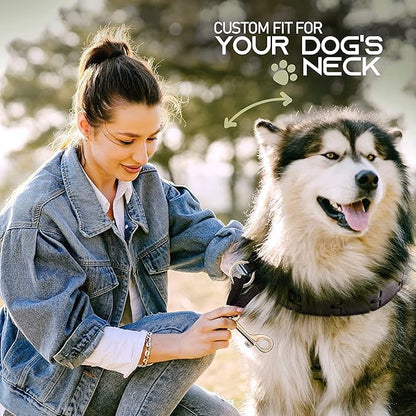 Ram-Pro Dog Training Collar Small Pinch Collar for Dogs Triple Crown Pro Training Collar Large Gentle Effective Control in a No Barking Control Dog Collar for All Breeds