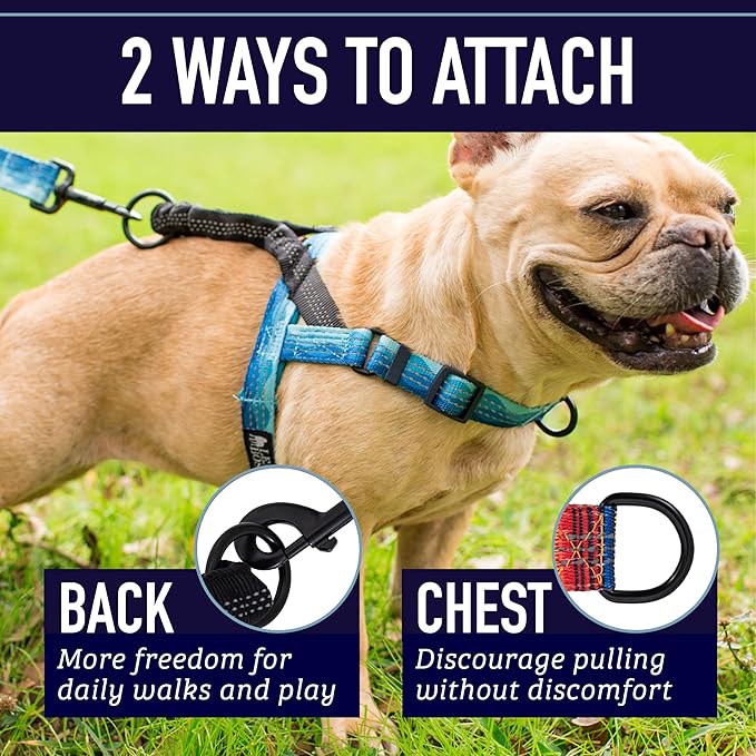 Leash Boss No Pull Dog Harness, Easy Walk for Small, Medium, and Large Pets, Reflective with Rear and Front Clip Attachment (Wave Pattern, Extra Large)
