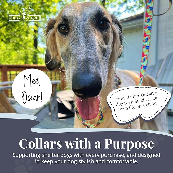 Lucky Love Dog Martingale Dog Collar - Adjustable, No-Slip, Durable, & Soft Webbing Collar for Male and Female Dogs Ideal for Training & Walking - Oscar, Large
