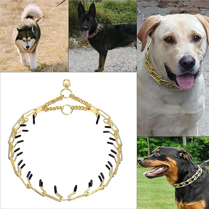 Stainless Steel Prong Pinch Collar for Dogs, Adjustable Training Collar with Quick Release Buckle for Small Medium Large Dogs (Gold, 22")