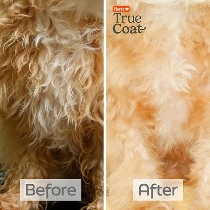 Hartz True Coat Curly or Wavy Dog Shampoo, 5 in 1 Detangles & Conditions with Oat Milk, Coconut Oil & Shea Butter, 16 oz