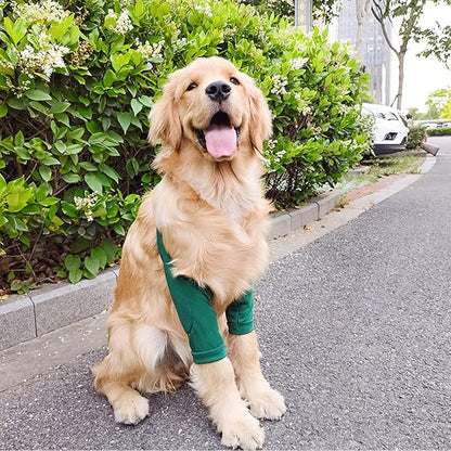 HDKUW Dog Elbow Protector, Dog Front Leg Recovery Sleeve for Prevent Licking Wound, Elbow Sleeves with Mesh Pad for Medium Large Dogs Green L