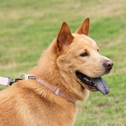 Hyhug Martingale Collar for Dogs Small Pink |Escape - Proof Heavy Duty Nylon Durable No Buckle, Ideal for Training & Daily Walks