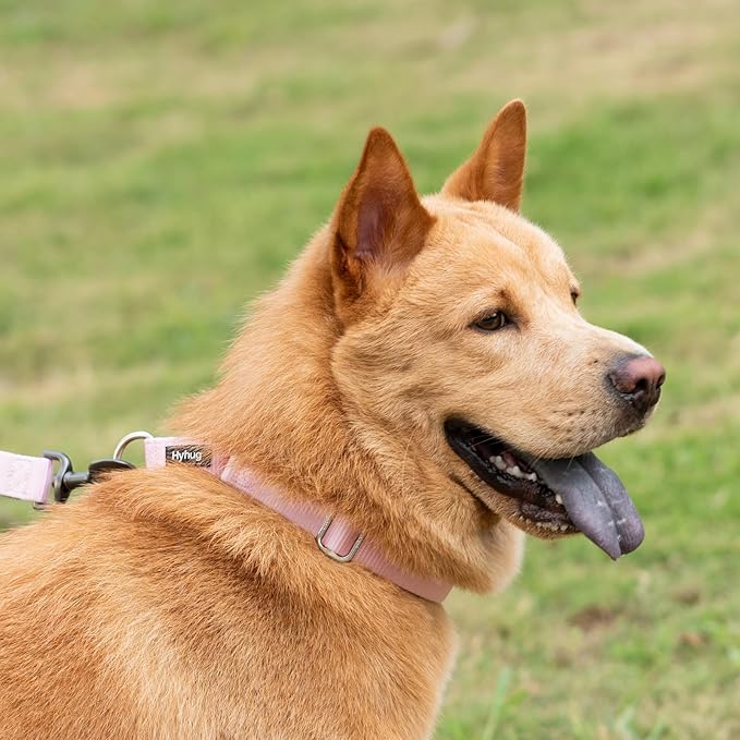 Hyhug Martingale Collar for Dogs Large Pink |Escape - Proof Heavy Duty Nylon Durable No Pull, Ideal for Training & Daily Walks