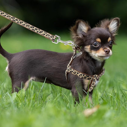 Mile High Life Leopard Dog Harness Collar Leash Set, Adjustable No Pull Dog Halter Harness for Small Breed Dogs, Easy Control for Training Walking (Brown, S Chest 11"-18", Neck 10"-14")