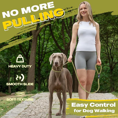 Fida Durable Slip Lead Dog Leash, 6 FT x 3/8" Heavy Duty Comfortable Strong Rope Slip Lead for Small Dogs and Puppies, No Pull Pet Training Leash with Highly Reflective (3/8", Yellow)