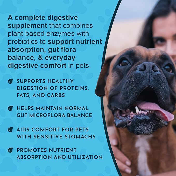 Animal Essentials Plant Enzyme & Probiotics - Probiotics & Digestive Enzymes for Dogs & Cats, Natural Daily Gut & Digestion Support Supplement for Pets, Plant Based - 3.5 Oz