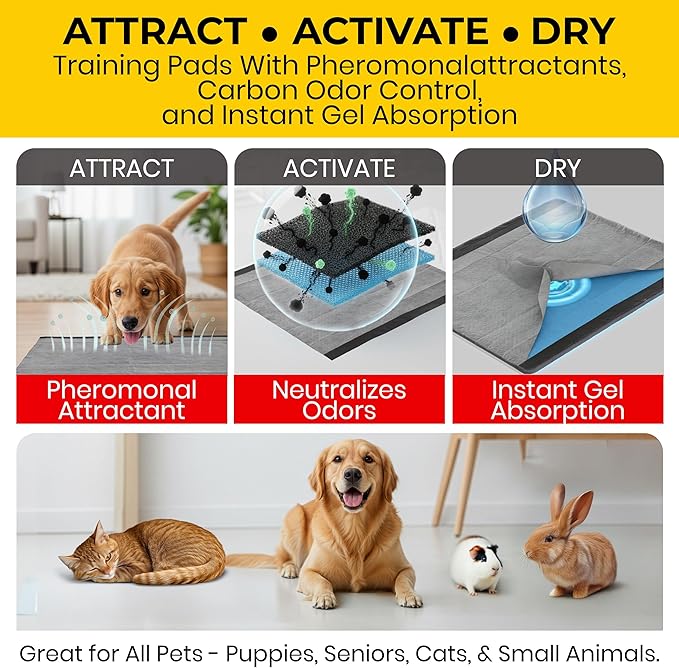 Glad for Pets Black Charcoal Puppy Pads - Super Absorbent Disposable Dog Pee Pads, Potty Training Pads, and Pet Supplies - Dog Pee Pads for Crate Training and Indoor Use 23" x 23" - 100 Count