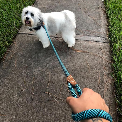 Mile High Life Rope Leash with Genuine Leather Connection, 6 FT/5 FT/4 FT, Heavy Duty Leash for Medium & Large Dogs (Turquoise Green, 60 Inch)