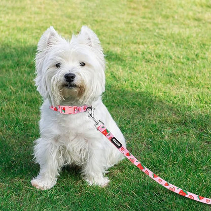 azuza Fruit Dog Collar and Leash Set, Collar Nylon and Matching Leash, Great Option for Medium Dogs, Strawberry, M (Neck: 14"-20")