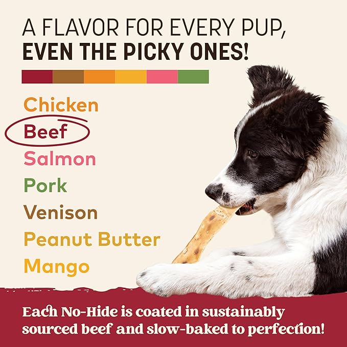 Earth Animal No Hide Strips - Natural Rawhide Free Dog Chew Strips, Beef - 4 Count