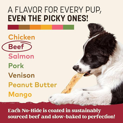 Earth Animal No Hide Strips - Natural Rawhide Free Dog Chew Strips, Beef - 4 Count