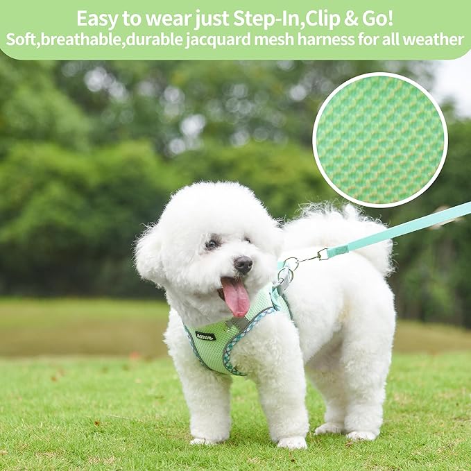 AIITLE Teacup Puppy Harness with Leash - Adjustable Soft Vest with Magic Tape & Reflective Safety Strips, Easy-Put-On for Poodles, Pomeranians - Gym, Hiking, Travel (Sage, S)