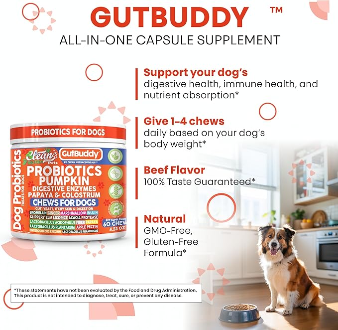Gut Health Probiotics for Dogs + Pumpkin Colostrum Digestive Enzymes Ginger Slippery Elm Licorice Inulin Fiber Soft Chews Dog Probiotic Beef Flavor Digestion Supplement Treat Bites Large & Small Pets