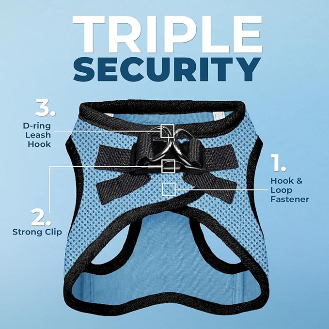Best Pet Supplies Voyager Step-in Air All Weather Mesh Harness and Reflective Dog 5ft Leash Combo with Neoprene Handle, for Small, Medium and Large Breed Puppies - Set (Baby Blue/Black Trim), X-Small