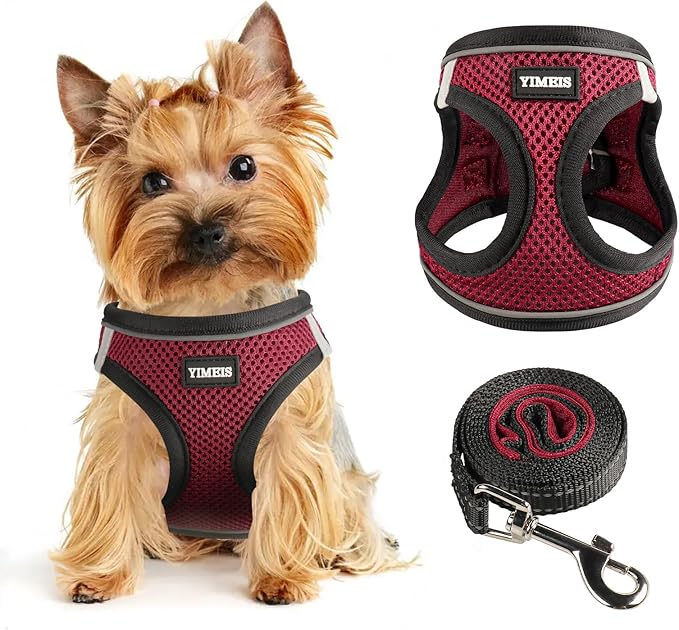 Dog Harness for Small Dogs and Leash Set, Honeycomb Grid, Reflective Lightweight Harness & Anti-Twist Pet Lead Multi Color, Size: XS-S-M. (S, Deep Purple)