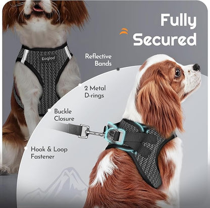 Eagloo Small Dog Harness and Leash Set, Step in Puppy Vest with Breathable Soft Mesh, Walking Reflective Pet Harness for Small Dogs, Gray, XS