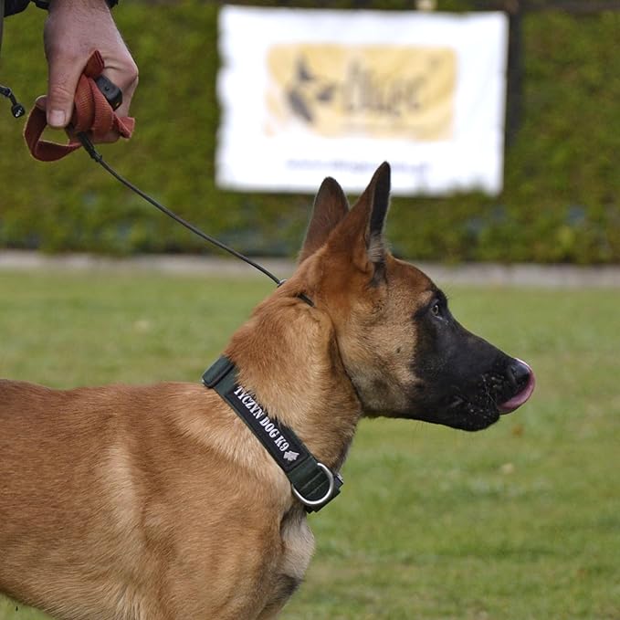 Dingo Gear Choke Collar for Dog Training Handmade of Cord with A Limiter, Waterproof Black S04059, (XXL)