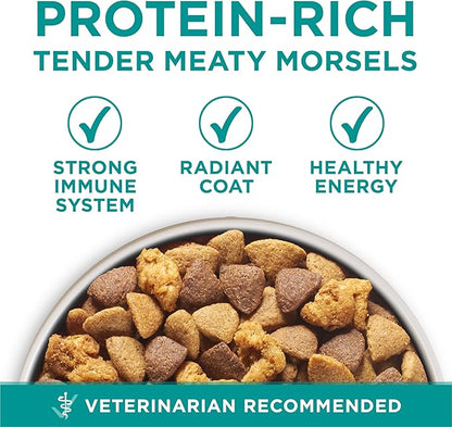 Purina One Plus Digestive Health Formula Dry Dog Food Natural with Added Vitamins, Minerals and Nutrients - 16.5 Lb. Bag
