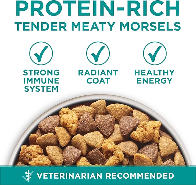 Purina One Plus Digestive Health Formula Dry Dog Food Natural with Added Vitamins, Minerals and Nutrients - (Pack of 4) 8 lb. Bags