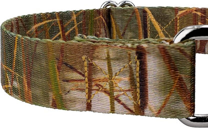 Country Brook Petz - Waterfowl Camo Martingale Dog Collar and Leash - Camouflage Collection Featuring Rugged Designs (1/2 Inch, 2XS)