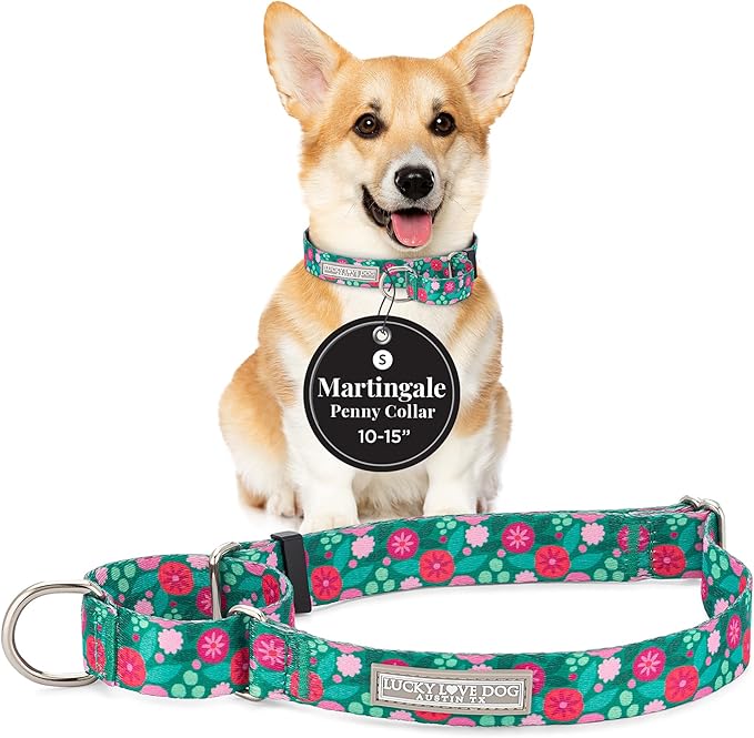 Lucky Love Dog Martingale Dog Collar - Adjustable, No-Slip, Durable, & Soft Webbing Collar for Male and Female Dogs Ideal for Training & Walking - Penny, Small