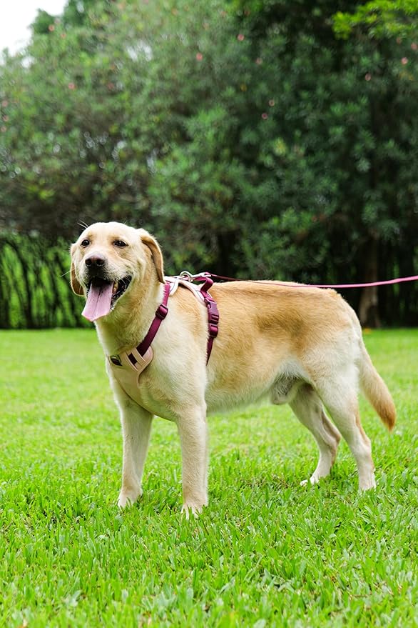 3 in 1 No Pull Dog Harness Leash and Collar Set, Soft Adjustable Dogs Vest Reflective and Comfortable Handle Pink Large