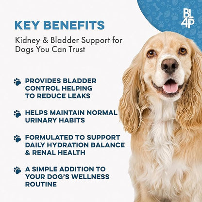 Dog UTI Treatment & Kidney Health Formula – Natural Dog Urinary Tract Supplements to Manage Urine Frequency & Leaks – Bladder Control Support for Urinary Incontinence & Renal Health – 2 Pack