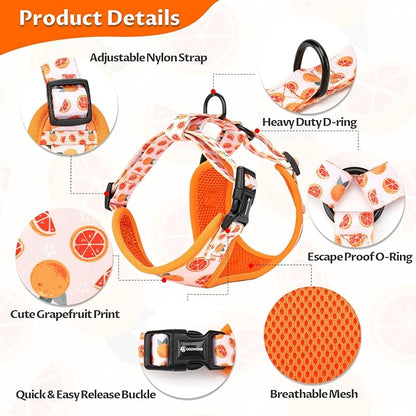 Dog Cat Harness and Leash Set, Puppia Soft Mesh Padded and Adjustable Puppy Vest Cute Dog Clothes Escape Proof Easy Walk Pet Accessories (Grapefruit, XS (Neck 9"-11"; Chest 11"-13"))