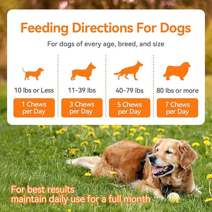 Dog Allergy and Immune Chews 200PCs Skin and Coat Itchy Relief Anti Itch Immune Bites for Dogs, Helps Repair Skin Ears Paw Licking, 5 Probiotics Blend Gut Health for Sensitive Seasonal Allergies