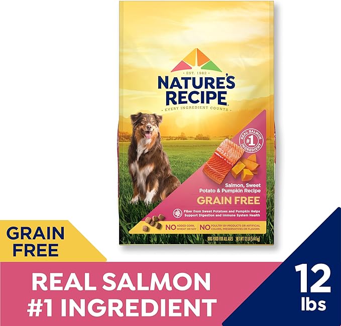 Nature's Recipe Grain Free Dry Dog Food, Salmon, Sweet Potato & Pumpkin Recipe, 12 lb. Bag