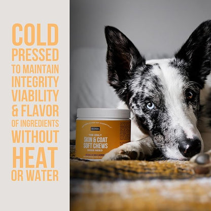 Natural Rapport Dog Skin and Coat Supplement - The Only Skin and Coat Soft Chews Dogs Need - 120ct Treats that Contain Salmon Oil and Omegas 3, 6, & 9