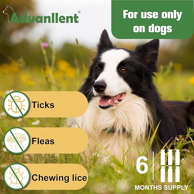 Flea and Tick Prevention for Dogs, Flea and Tick Treatment for Medium Dog, Flea & Tick Control, 23-44 Pounds, 6 Doses