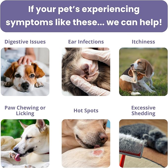 Glacier Peak Holistics, The Original Pet Intolerance Test - Screen Over 395 Food and Environmental Stressors, A Hair and Saliva Kit for Cat and Dog Sensitivities (Results in 7-10 Business Days)