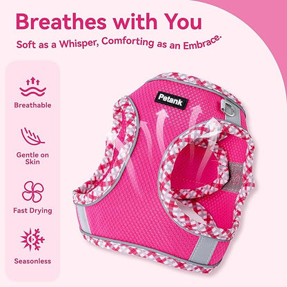 Petank Dog Harness for Small Medium Dogs No Pull, Puppy Harness and Leash Set for Walking, Running, Training, Small Dog Harness, Medium Dog Harness (Rose Red, XXS)
