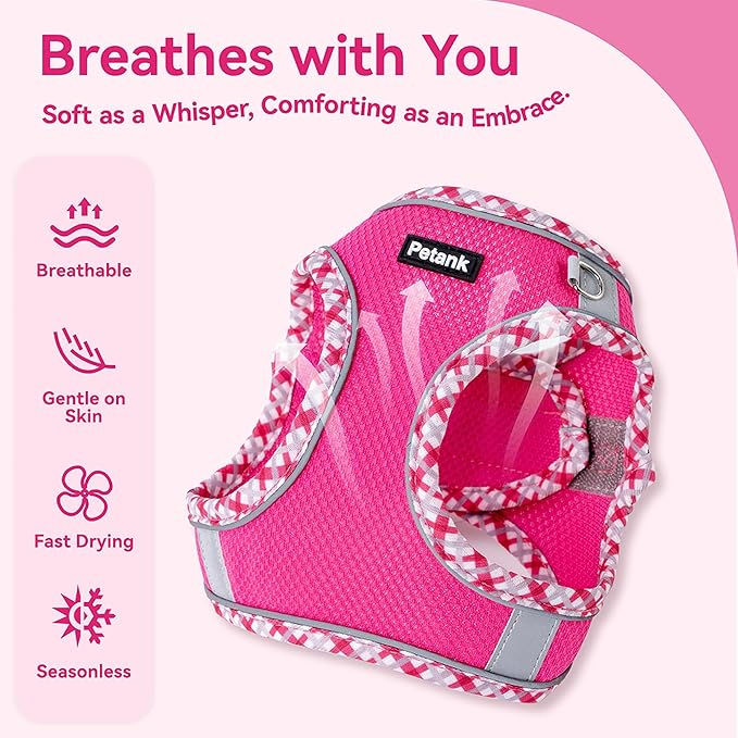 Petank Dog Harness for Small Medium Dogs No Pull, Puppy Harness and Leash Set for Walking, Running, Training, Small Dog Harness, Medium Dog Harness (Rose Red, S)