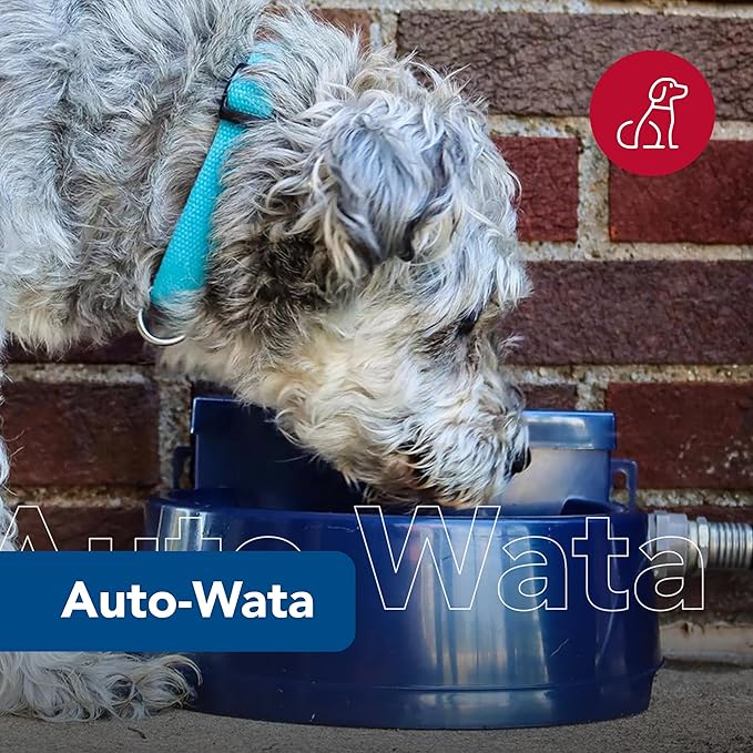 Coastal Pet Bergan Auto-Wata - Outdoor Dog & Cat Water Dispenser - Automatic Water Bowl for Pets - Made from Durable, BPA-Free Plastic - Self-Watering Cat & Dog Bowl - Navy, 48 Ounces