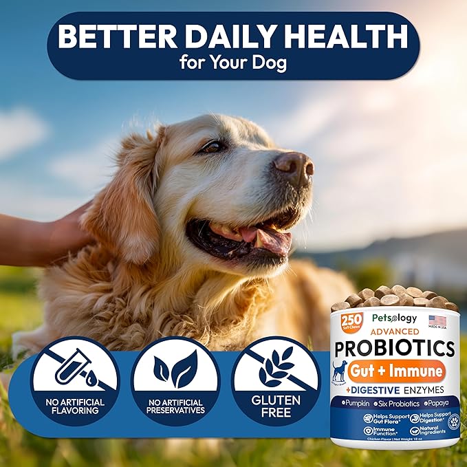 Probiotics for Dogs - 250 Dog Probiotics Chews - Digestive Enzymes & Prebiotics - Support Gut Health, Diarrhea, Gas & Constipation Relief - Itchy Skin, Allergies, Yeast Balance - Advanced Supplement