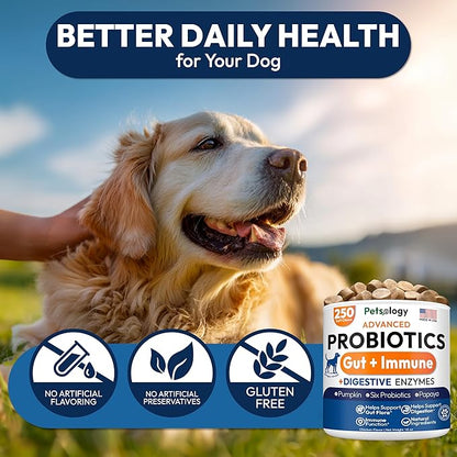 Probiotics for Dogs - 250 Dog Probiotics Chews - Digestive Enzymes & Prebiotics - Support Gut Health, Diarrhea, Gas & Constipation Relief - Itchy Skin, Allergies, Yeast Balance - Advanced Supplement