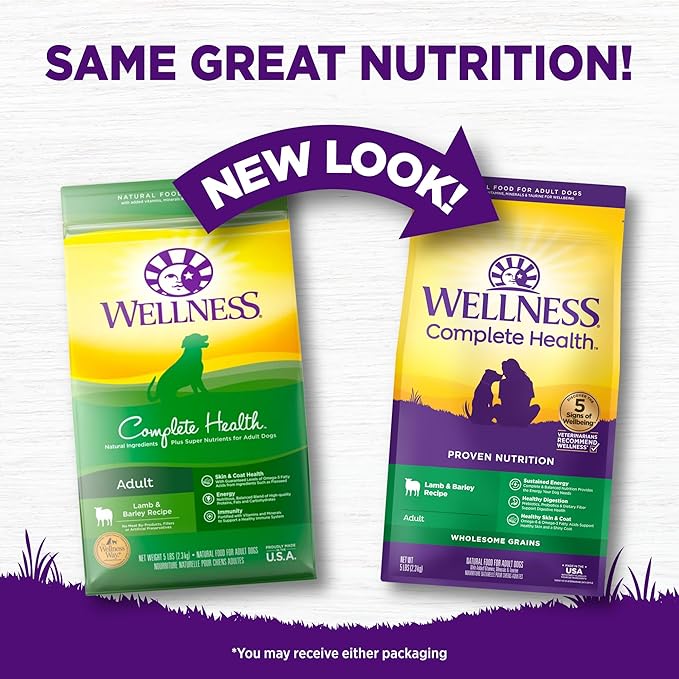 Wellness Complete Health Dry Dog Food, Wholesome Grains, Natural, Lamb & Barley, (5-Pound Bag)