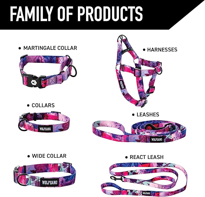Wolfgang Heavy Duty Martingale Dog Collar with Quick Release Nylon Buckle for Walking & Training, Daydream Print, Medium