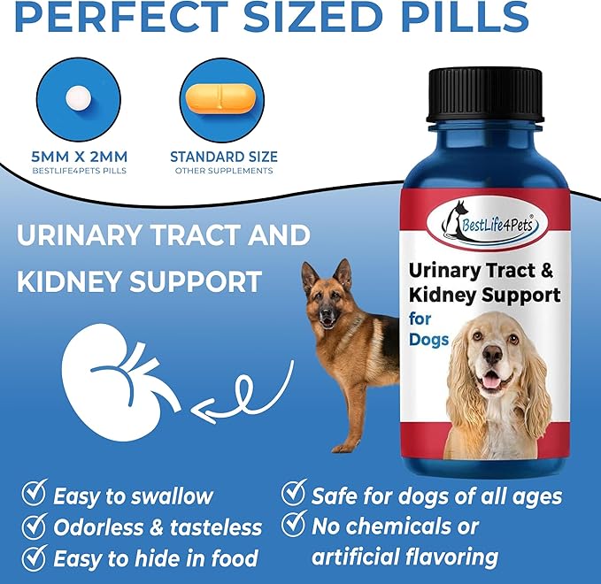 Dog UTI Treatment & Kidney Health Formula – Natural Dog Urinary Tract Supplements to Manage Urine Frequency & Leaks – Bladder Control Support for Urinary Incontinence & Renal Health – 2 Pack
