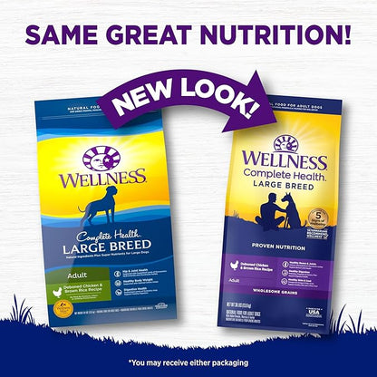 Wellness Complete Health Large Breed Adult Dry Dog Food, Wholesome Grain Kibble, Natural, Chicken and Brown Rice Recipe, 30 lb Bag
