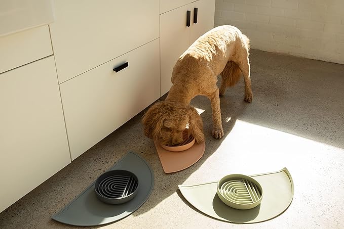 Should We Go - Waterproof Silicone Pet Food Mat - Non-Slip, Spill-Proof Feeding Mat for Floors, Raised Edge Design, Easy-to-Clean Pad for Dog & Cat Bowls, 21" Across x 10.5" Deep, Medium-Sage Green