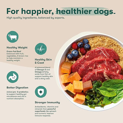 Jinx Premium Dog Food Dry for Large Breed - Adult Dog Food with Real Beef, Brown Rice & Sweet Potato Kibble with Antioxidants for Joint Health, Mobility & Immune Support - No Fillers - 30lb