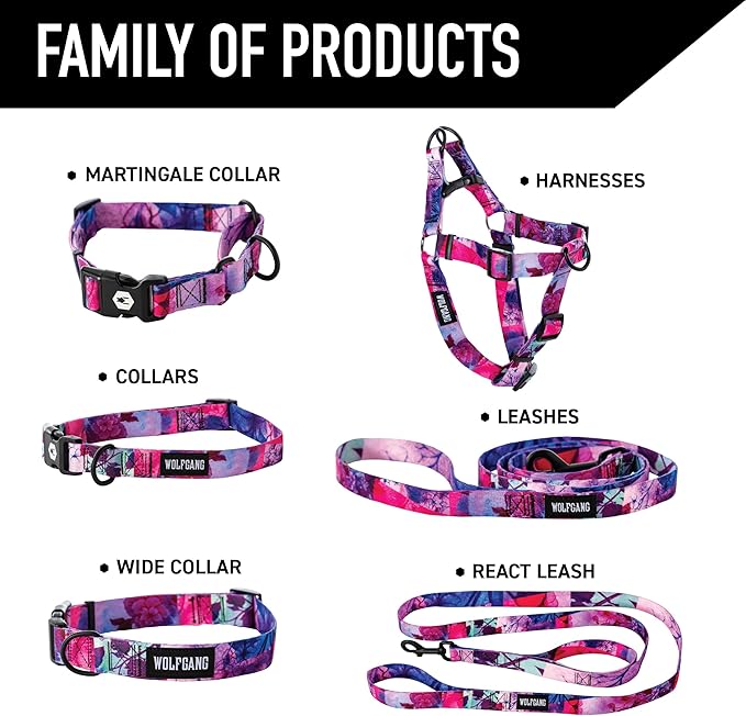Wolfgang Heavy Duty Dog Leash, Pull-Tested to Over 800 lbs for Walking & Training, Daydream Print, Small