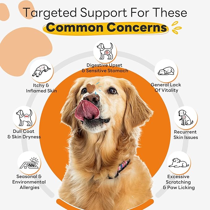 Dog Allergy Relief Chews 200ct Relieve Seasonal Allergies and Skin Itching Alleviate Licking Behavior Boosting Immunity and Hair Protection - Chicken