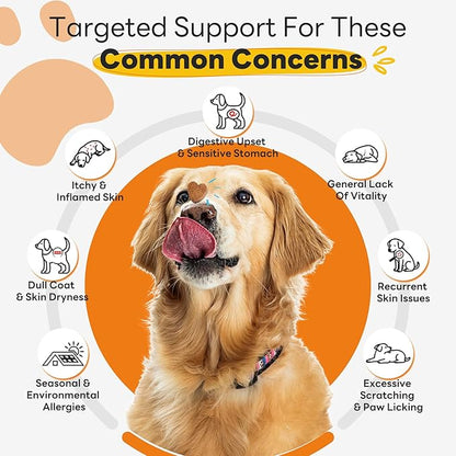 Dog Allergy Relief Chews 200ct Relieve Seasonal Allergies and Skin Itching Alleviate Licking Behavior Boosting Immunity and Hair Protection - Chicken